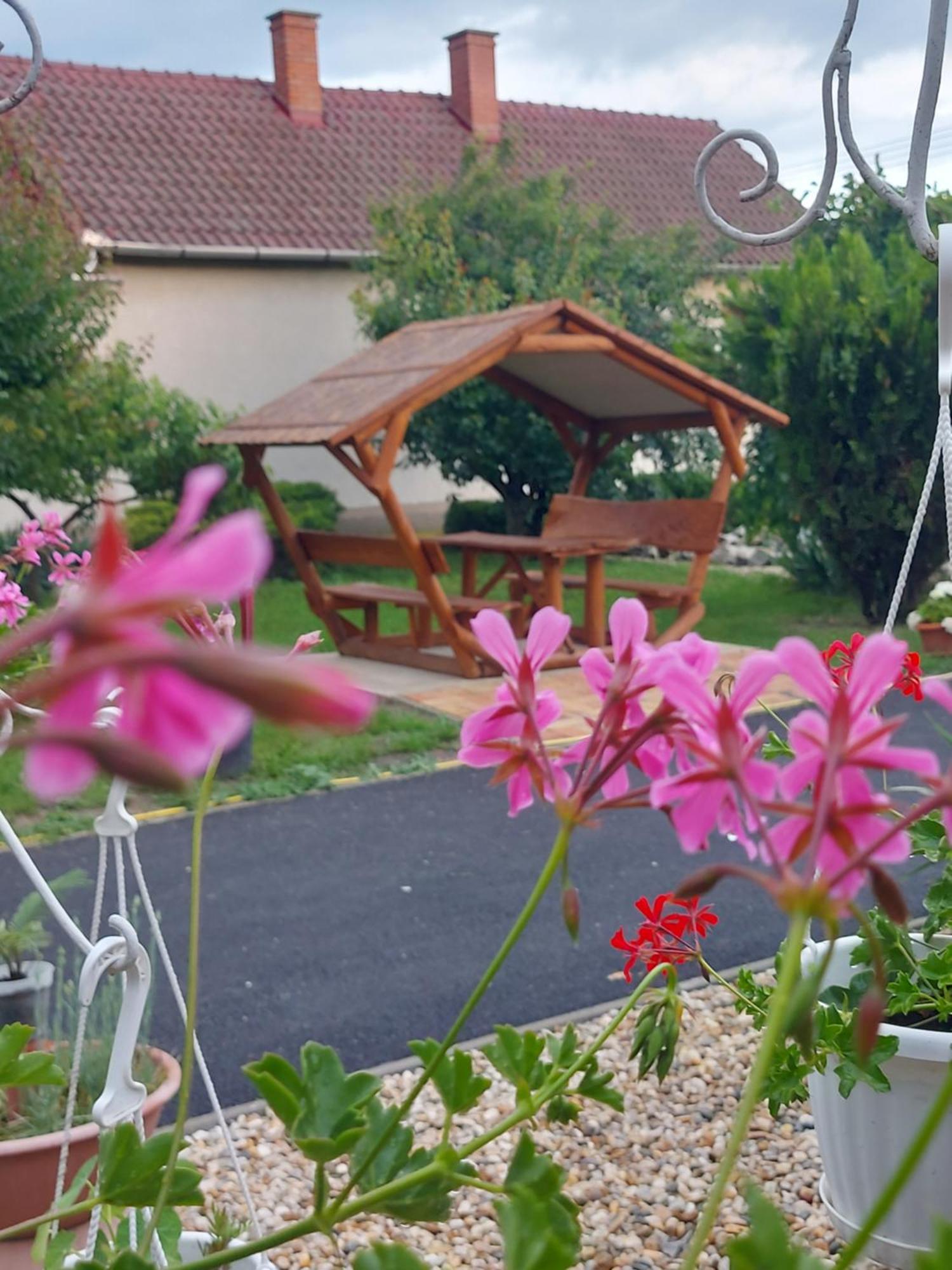 Appartement Pacsirta Vendeghaz