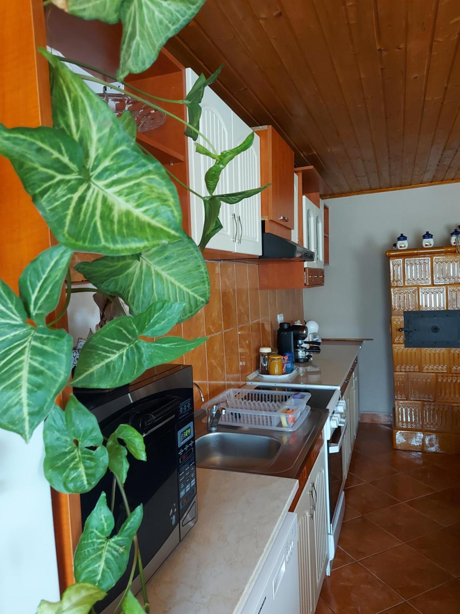 Pacsirta Vendeghaz Appartement Tiszaderzs